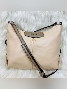 Coach Ashley Leather Swingpack Crossbody Bag
